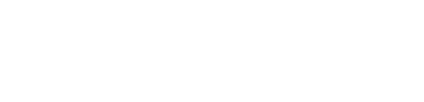 プロジェクトマネージメント業務